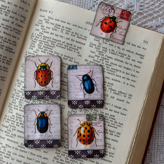 Beetles Hidden Paper Clips - Altered Paper Clips Set of 5