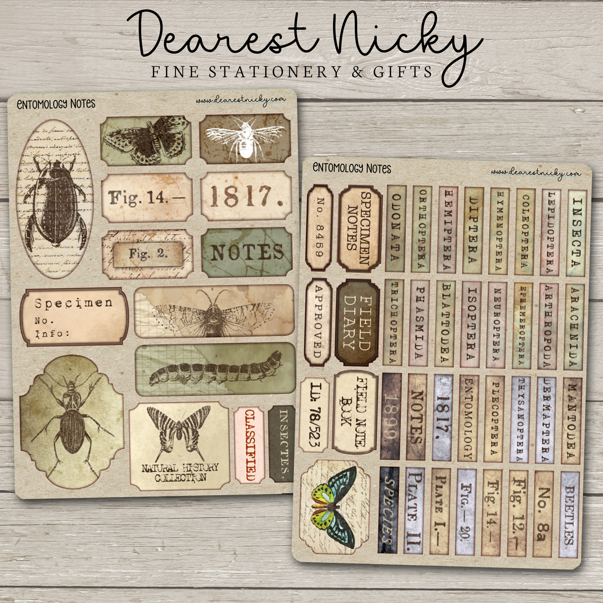 Entomology Notes Stickers - 2 Sheets