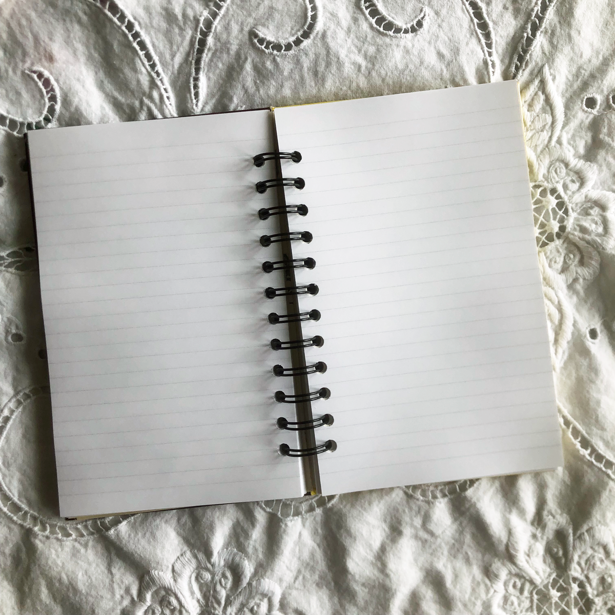 Nancy Drew Journal - The Mystery at Lilac Inn