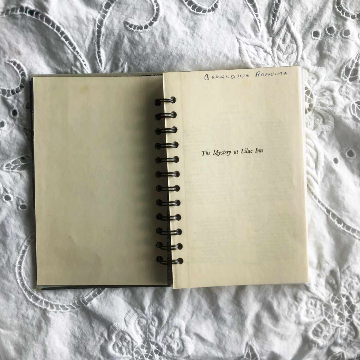 Nancy Drew Journal - The Mystery at Lilac Inn