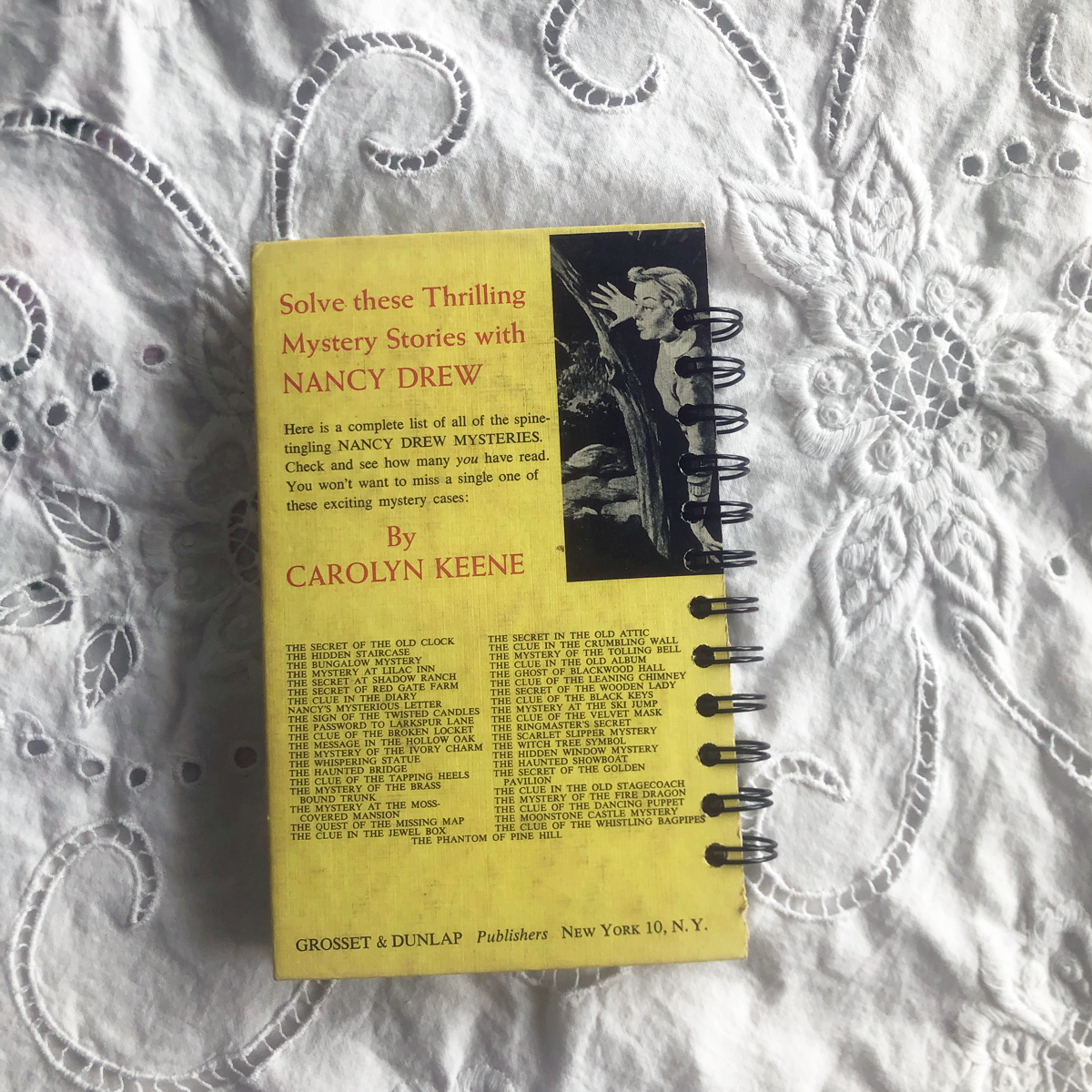 Nancy Drew Journal - The Mystery at Lilac Inn