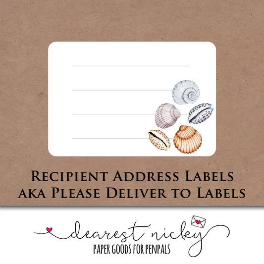 Shell Collecting Mailing Address Labels - Set of 16