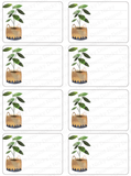 House Plants Mailing Address Labels <br> Set of 16